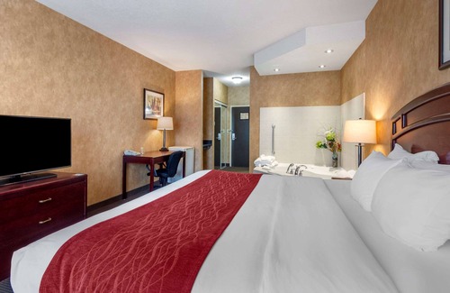 Sturgeon Falls Hotel | Budget-Friendly Comfort Inn Sturgeon Falls with Pool & Breakfast