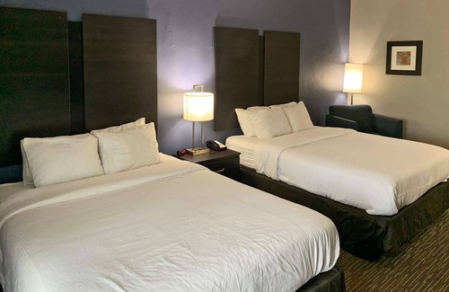 Columbus Hotel | Convenient Stay at Comfort Inn & Suites Columbus North