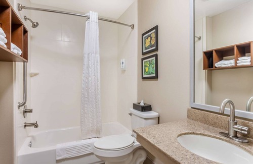 Conway Hotel | Welcoming Comfort Inn & Suites Conway with Pool & Breakfast