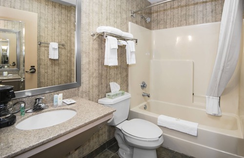 Conway Hotel | Welcoming Comfort Inn & Suites Conway with Pool & Breakfast