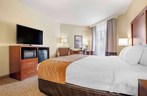 Malbis Hotel | Enjoy Comfort Inn & Suites Mobile with Pool and Spa Access