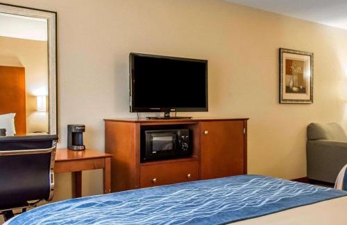Franklin Hotel | Pet-Friendly Comfort Inn & Suites Franklin East Awaits You