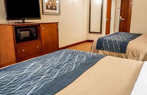 Franklin Hotel | Pet-Friendly Comfort Inn & Suites Franklin East Awaits You