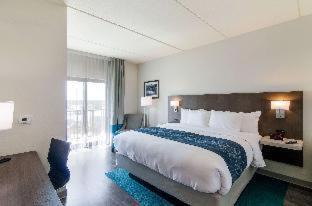 Gulf Shores Hotel | Pet-Friendly Comfort Inn & Suites Near Gulf State Park