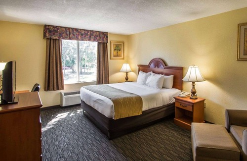Jupiter Hotel | Relaxing Stay at Comfort Inn & Suites Jupiter I-95