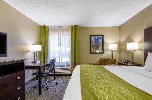 Winnetonka Hotel | Comfort Inn & Suites: Family-Friendly Stay Near Worlds of Fun
