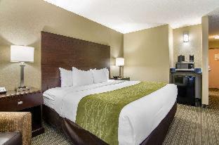 Winnetonka Hotel | Comfort Inn & Suites: Family-Friendly Stay Near Worlds of Fun