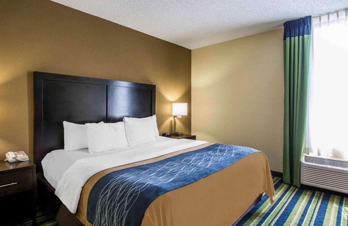 Lantana Hotel | Budget-Friendly Comfort Inn & Suites Lantana with Pool