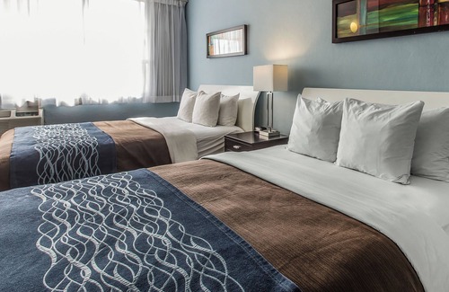 Levittown Hotel | Discover Comfort Inn & Suites Levittown with Pool and Spa
