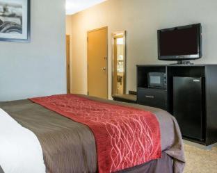 Maumee Hotel | Convenient Comfort Inn & Suites Maumee - Family-Friendly Stay