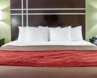 Maumee Hotel | Convenient Comfort Inn & Suites Maumee - Family-Friendly Stay