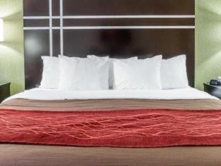 Maumee Hotel | Convenient Comfort Inn & Suites Maumee - Family-Friendly Stay