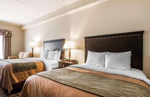 Gunter Afs Hotel | Welcoming Comfort Inn & Suites Montgomery Eastchase Awaits