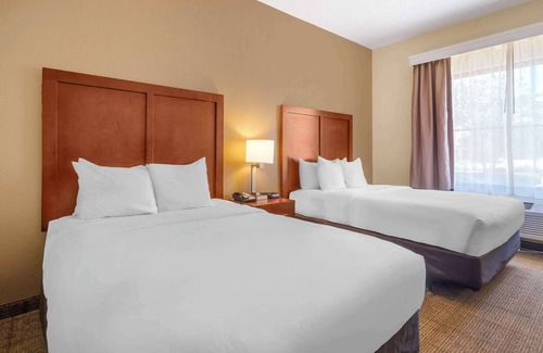 St. Petersburg - Clearwater Hotel | Premier Stay at Comfort Inn & Suites Northeast Gateway