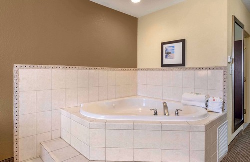 St. Petersburg - Clearwater Hotel | Premier Stay at Comfort Inn & Suites Northeast Gateway