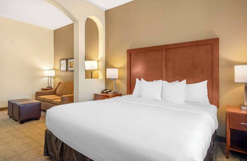 St. Petersburg - Clearwater Hotel | Premier Stay at Comfort Inn & Suites Northeast Gateway