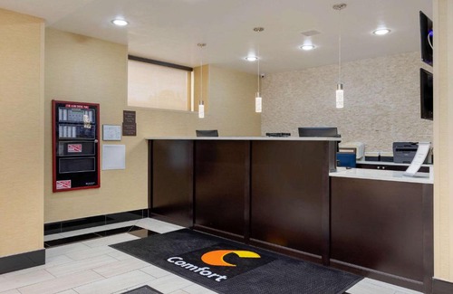 Queens Hotel | Comfort Inn & Suites: Family-Friendly Stay Near JFK