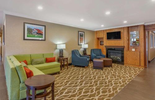 Dallas Hotel | Relaxing Stay at Comfort Inn & Suites North Dallas-Addison