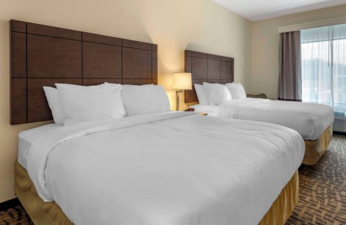 East Allegheny Hotel | Relax at Comfort Inn & Suites Pittsburgh-Northshore
