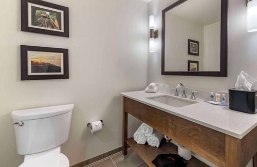 East Allegheny Hotel | Relax at Comfort Inn & Suites Pittsburgh-Northshore