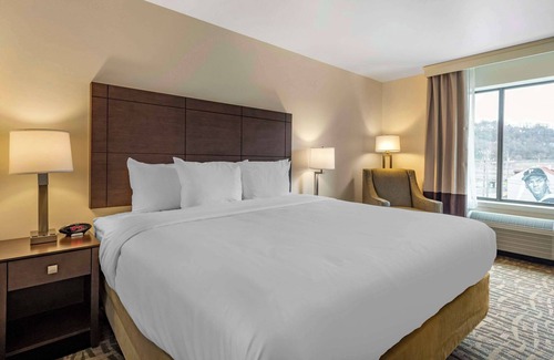 East Allegheny Hotel | Relax at Comfort Inn & Suites Pittsburgh-Northshore