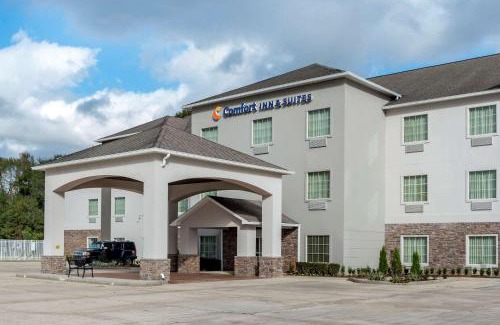 Scott Hotel | Guest Rated Comfort Inn & Suites with Pool and Breakfast