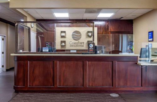 Haller Lake Hotel | Pet-Friendly Comfort Inn & Suites Seattle North Awaits You