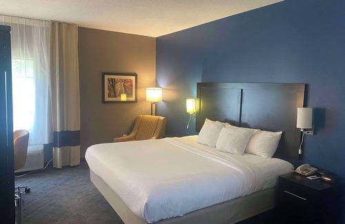 Trussville Hotel | Comfort Inn & Suites Trussville: Relaxing Amenities Await