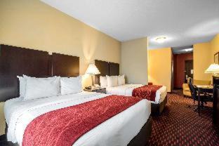 Tunkhannock Hotel | Pet-Friendly Comfort Inn & Suites with Ocean View Amenities