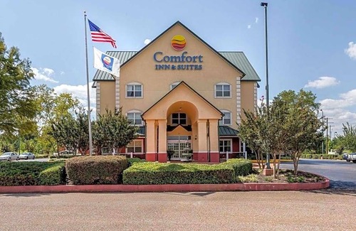 Grenada Hotel | Relax at Comfort Inn & Suites Grenada: Pet Friendly Oasis
