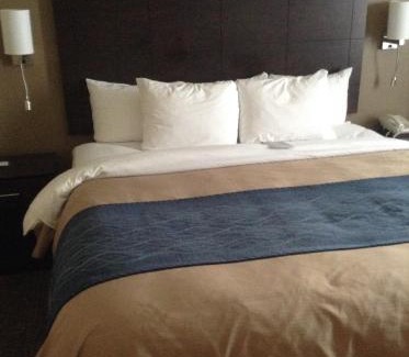 Waterloo Hotel | Pet-Friendly Comfort Inn & Suites in Waterloo - Cedar Falls