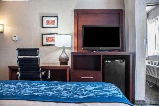 Amherst Hotel | Pet-Friendly Comfort Inn University with Oceanfront Views