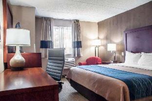 Amherst Hotel | Pet-Friendly Comfort Inn University with Oceanfront Views