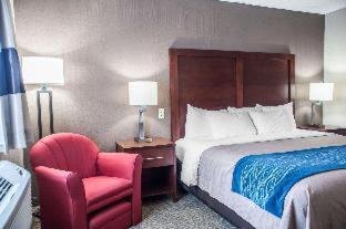 Amherst Hotel | Pet-Friendly Comfort Inn University with Oceanfront Views