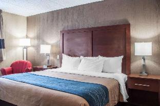 Amherst Hotel | Pet-Friendly Comfort Inn University with Oceanfront Views