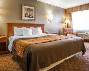 Van Wert Hotel | Comfort Inn: Pet Friendly Stay with Pool Access, Rated 8.1
