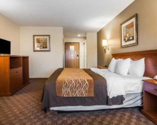 Van Wert Hotel | Comfort Inn: Pet Friendly Stay with Pool Access, Rated 8.1