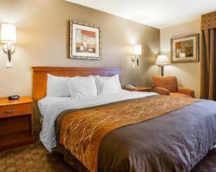 Van Wert Hotel | Comfort Inn: Pet Friendly Stay with Pool Access, Rated 8.1
