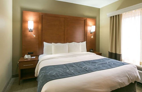 McNeil Hotel | Inviting Comfort Suites Austin NW Lakeline with Pool & Spa