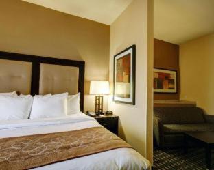 Buda Hotel | Comfort Suites Buda - Austin South