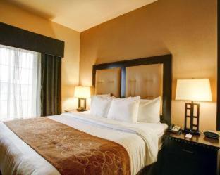 Buda Hotel | Comfort Suites Buda - Austin South