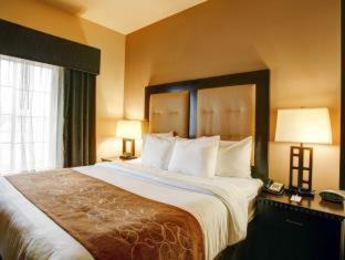 Buda Hotel | Comfort Suites Buda - Austin South