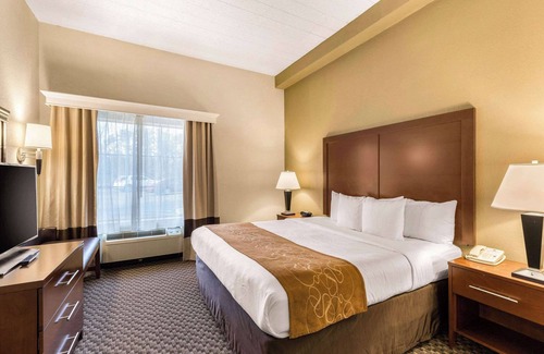 Waterloo Hotel | Discover Comfort Suites Columbia Gateway with Pool & Spa