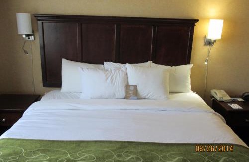 Columbia Hotel | Discover Comfort Suites Columbia - Ideal for Families & Fun