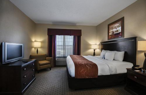 Conway Hotel | Comfort Suites: Oceanfront Paradise with Wheelchair Access
