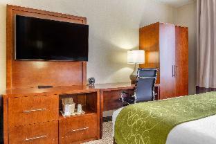 Dover Hotel | Elevate Your Stay at Comfort Suites with Oceanfront Views
