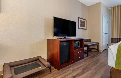 Fernley Hotel | Discover Comfort Suites Fernley: Family-Friendly Retreat