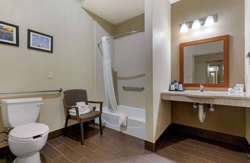 Gainesville Hotel | Comfort Suites Gainesville: Family-Friendly with Pool & Spa