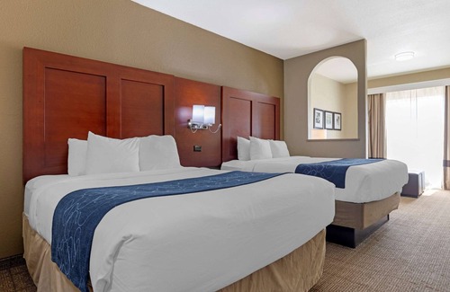 Gainesville Hotel | Comfort Suites Gainesville: Family-Friendly with Pool & Spa