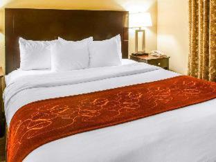 Gallup Hotel | Pet-Friendly Retreat at Comfort Suites Gallup East